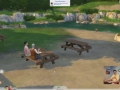 Sims_4_Gamplay_Trailer_Park_126