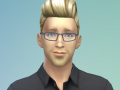 SimGuruMeatball