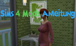 Sims 4 Mods Anleitung