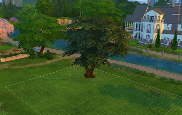 Sims 4 Outdoor Leben Mächtiger Weißdornbaum