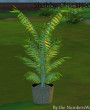 Sims 4 Download Shabby ChicWohnzimmer 2 Figur Pflanze
