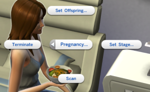 Sims 4 Schwangerschafts Mod Menü Überblick